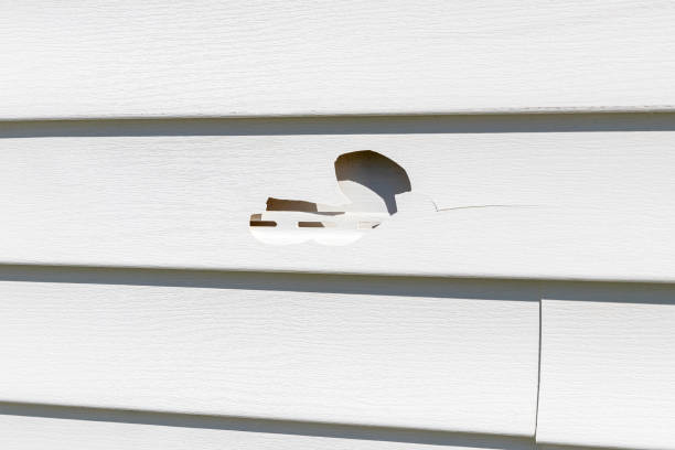 Best Siding Removal and Disposal  in Winooski, VT